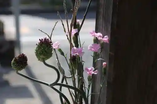 豊景神社の自然