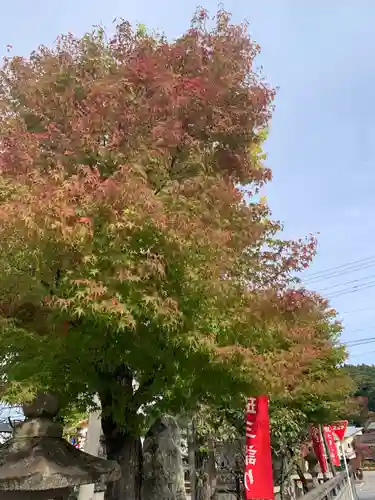 飛驒天満宮(岐阜県)