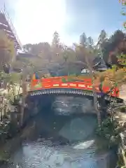 賀茂別雷神社（上賀茂神社）の庭園