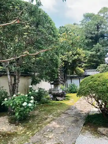 地蔵院の庭園