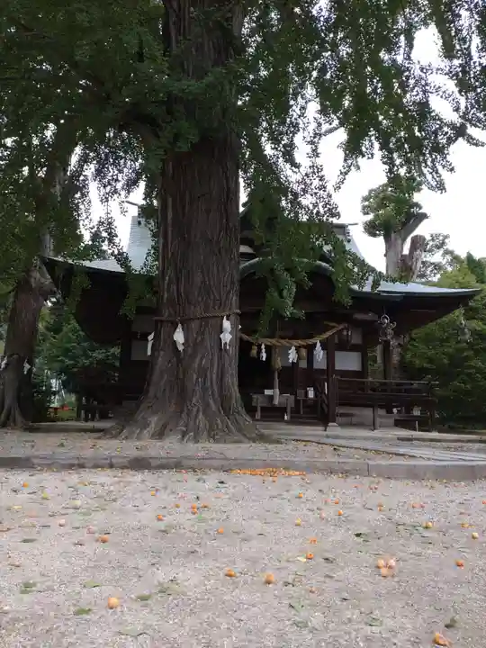 賀羅加波神社の本殿・本堂