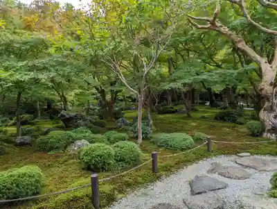 圓光寺(京都府)