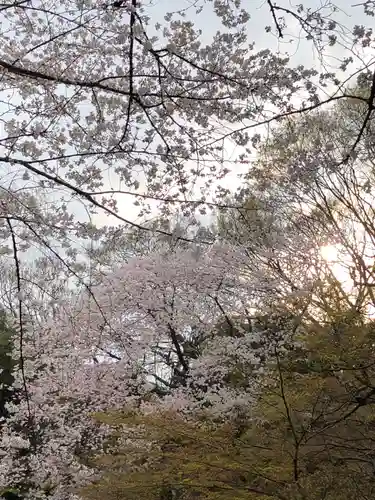 靖國神社の自然