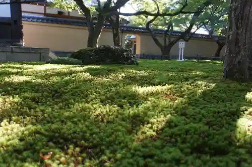 黄梅院の庭園