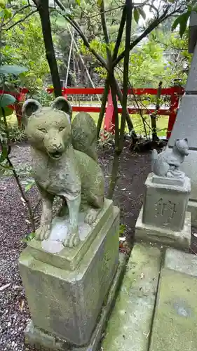 金澤神社の狛犬