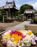 真言宗 善通寺派 薬王寺(香川県)