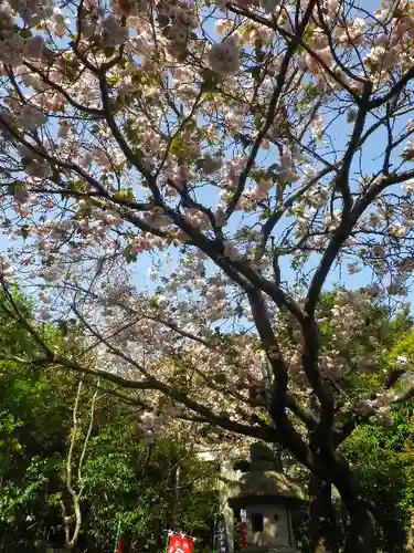 八雲神社（鎌倉・大町）の自然