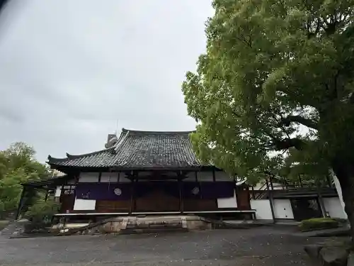 念仏寺の{uncategorized: "未分類", other: "その他", undefined: "問題あり", building: "その他建物", grave: "お墓", sacred_gate: "鳥居", guardian: "狛犬", statue: "像", buddha: "仏像", history: "歴史", nature: "自然", garden: "庭園", animal: "動物", pagoda: "塔", temizu: "手水舎", mountain_gate: "山門・神門", sanctuary: "本殿・本堂", subordinate: "末社・摂社", art: "芸術", scenery: "景色", jizo: "地蔵", ema: "絵馬", goshuin: "御朱印", omikuji: "おみくじ", items: "授与品その他", amulet: "お守り", goshuincho: "御朱印帳", eats: "食事", festival: "お祭り", votive_dance: "神楽", shichigosan: "七五三参", wedding: "結婚式", experience: "体験その他", initially: "初詣", around: "周辺", anti_infection: "感染症対策"}