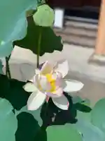 上行寺(静岡県)