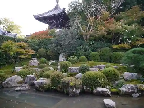 穴太寺の庭園