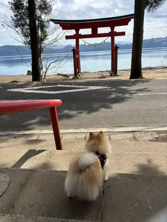 御座石神社の{uncategorized: "未分類", other: "その他", undefined: "問題あり", building: "その他建物", grave: "お墓", sacred_gate: "鳥居", guardian: "狛犬", statue: "像", buddha: "仏像", history: "歴史", nature: "自然", garden: "庭園", animal: "動物", pagoda: "塔", temizu: "手水舎", mountain_gate: "山門・神門", sanctuary: "本殿・本堂", subordinate: "末社・摂社", art: "芸術", scenery: "景色", jizo: "地蔵", ema: "絵馬", goshuin: "御朱印", omikuji: "おみくじ", items: "授与品その他", amulet: "お守り", goshuincho: "御朱印帳", eats: "食事", festival: "お祭り", votive_dance: "神楽", shichigosan: "七五三参", wedding: "結婚式", experience: "体験その他", initially: "初詣", around: "周辺", anti_infection: "感染症対策"}