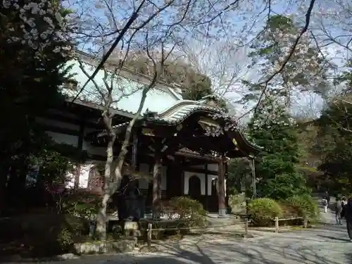 妙本寺(神奈川県)