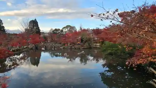 禅林寺（永観堂）(京都府)