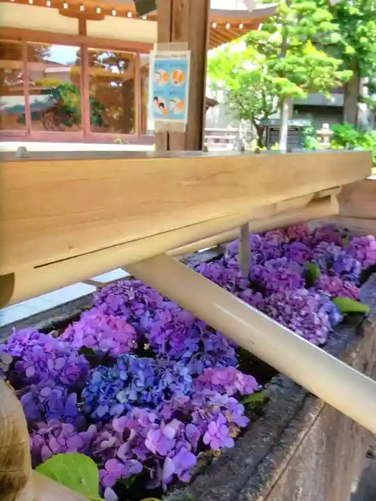 鳩森八幡神社の手水舎