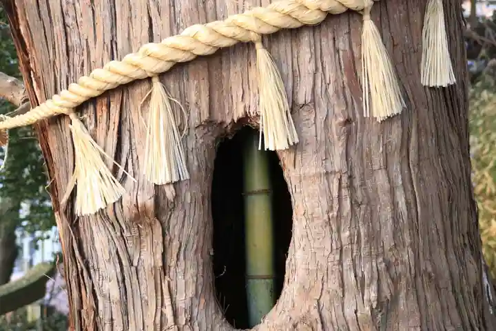 阿久津「田村神社」(郡山市阿久津町)旧社名:伊豆箱根三嶋三社の自然