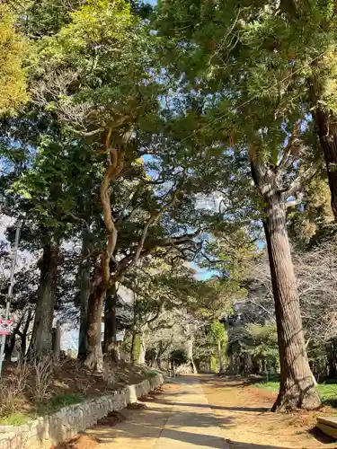 西蓮寺(茨城県)