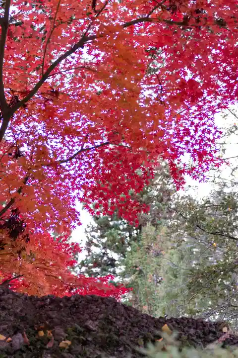 諏訪大社下社秋宮(長野県)