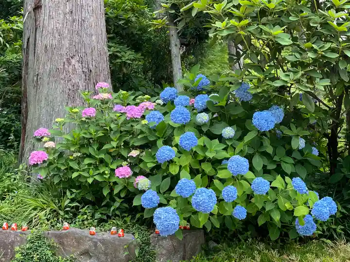 勝尾寺(大阪府)