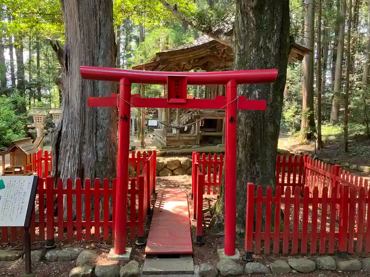 涼ケ岡八幡神社の自然
