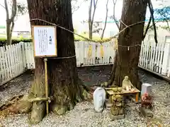 熊野神社(宮崎県)