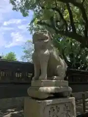 水天宮の狛犬