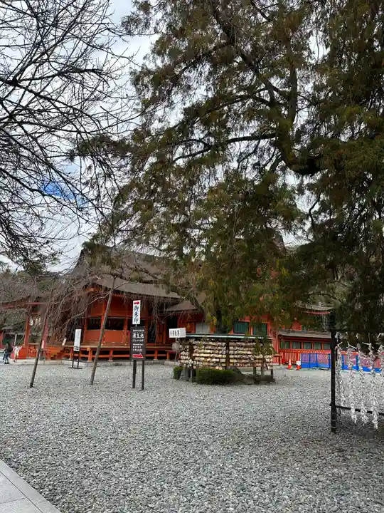富士山本宮浅間大社(静岡県)