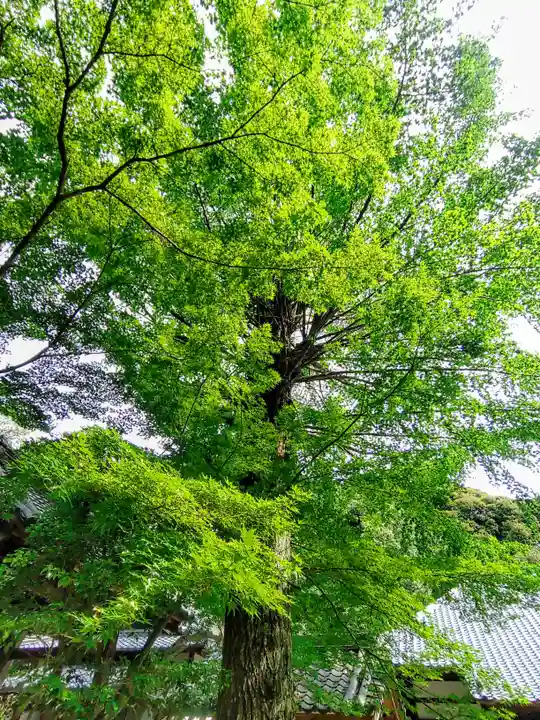 三光院の自然