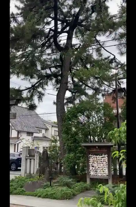 行田八幡神社(埼玉県)