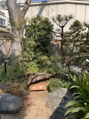 蛇窪神社(東京都)