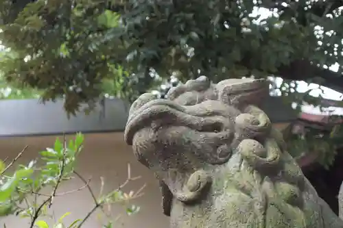 川口神社の狛犬