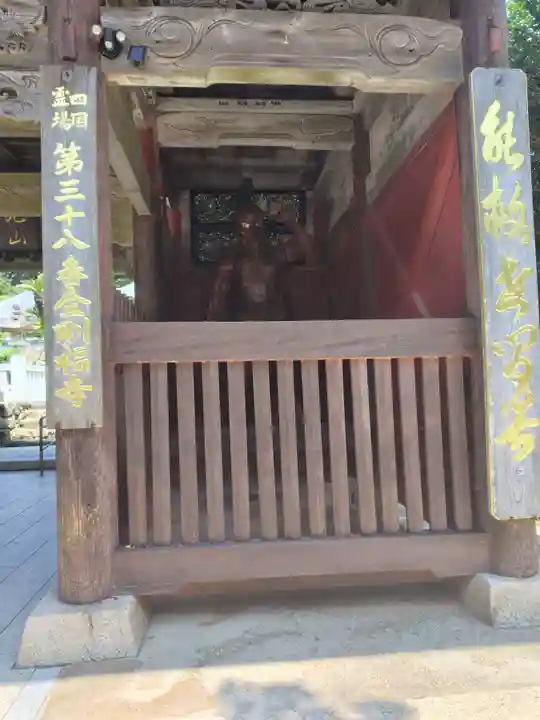 金剛福寺(高知県)