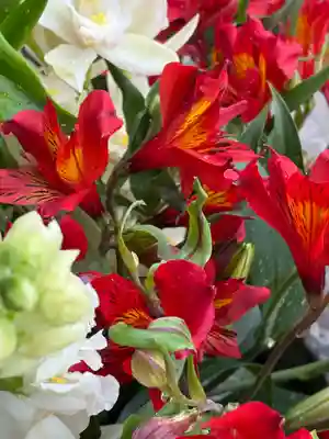 上尾御嶽神社の手水舎