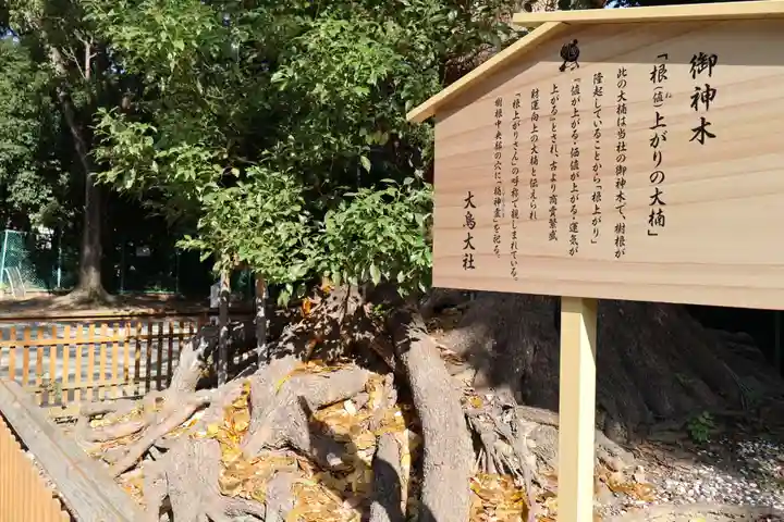 和泉國一之宮 大鳥大社(大阪府)