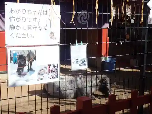 神田神社（神田明神）(東京都)
