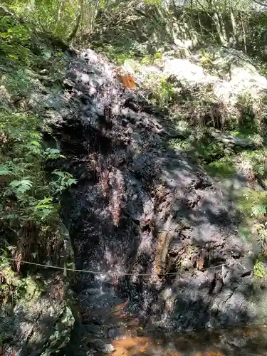 不動明王堂（不動明王の滝）の自然