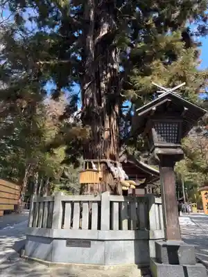 諏訪大社下社秋宮(長野県)