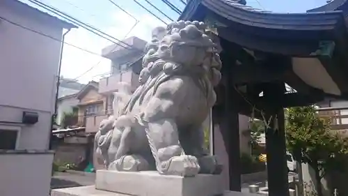 神楽坂若宮八幡神社の狛犬