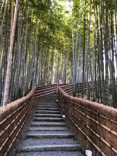 化野念仏寺の周辺