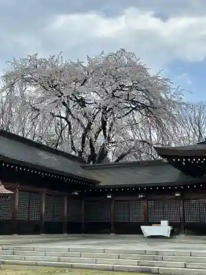 長野縣護國神社(長野県)