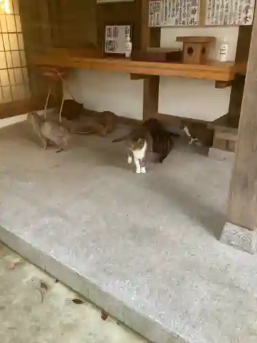 玉野御嶽神社の動物