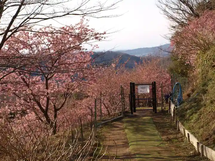 楽法寺(雨引観音)の庭園
