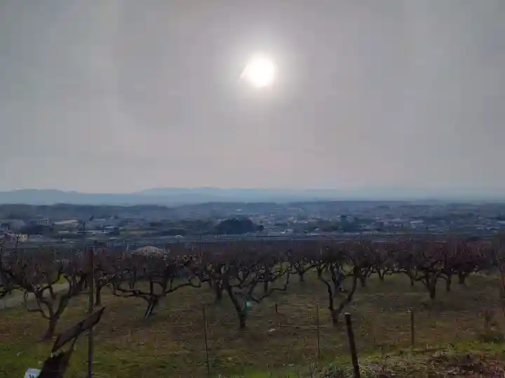 九社神社の{uncategorized: "未分類", other: "その他", undefined: "問題あり", building: "その他建物", grave: "お墓", sacred_gate: "鳥居", guardian: "狛犬", statue: "像", buddha: "仏像", history: "歴史", nature: "自然", garden: "庭園", animal: "動物", pagoda: "塔", temizu: "手水舎", mountain_gate: "山門・神門", sanctuary: "本殿・本堂", subordinate: "末社・摂社", art: "芸術", scenery: "景色", jizo: "地蔵", ema: "絵馬", goshuin: "御朱印", omikuji: "おみくじ", items: "授与品その他", amulet: "お守り", goshuincho: "御朱印帳", eats: "食事", festival: "お祭り", votive_dance: "神楽", shichigosan: "七五三参", wedding: "結婚式", experience: "体験その他", initially: "初詣", around: "周辺", anti_infection: "感染症対策"}