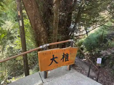 南禅寺の{uncategorized: "未分類", other: "その他", undefined: "問題あり", building: "その他建物", grave: "お墓", sacred_gate: "鳥居", guardian: "狛犬", statue: "像", buddha: "仏像", history: "歴史", nature: "自然", garden: "庭園", animal: "動物", pagoda: "塔", temizu: "手水舎", mountain_gate: "山門・神門", sanctuary: "本殿・本堂", subordinate: "末社・摂社", art: "芸術", scenery: "景色", jizo: "地蔵", ema: "絵馬", goshuin: "御朱印", omikuji: "おみくじ", items: "授与品その他", amulet: "お守り", goshuincho: "御朱印帳", eats: "食事", festival: "お祭り", votive_dance: "神楽", shichigosan: "七五三参", wedding: "結婚式", experience: "体験その他", initially: "初詣", around: "周辺", anti_infection: "感染症対策"}