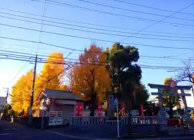 若宮八幡宮 (神奈川県)