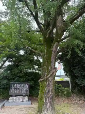 萱津神社(愛知県)