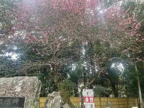 井伊谷宮(静岡県)