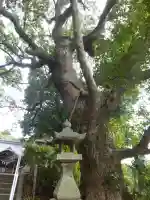 八幡宮(山口県)