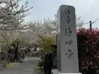 浄心寺の{uncategorized: "未分類", other: "その他", undefined: "問題あり", building: "その他建物", grave: "お墓", sacred_gate: "鳥居", guardian: "狛犬", statue: "像", buddha: "仏像", history: "歴史", nature: "自然", garden: "庭園", animal: "動物", pagoda: "塔", temizu: "手水舎", mountain_gate: "山門・神門", sanctuary: "本殿・本堂", subordinate: "末社・摂社", art: "芸術", scenery: "景色", jizo: "地蔵", ema: "絵馬", goshuin: "御朱印", omikuji: "おみくじ", items: "授与品その他", amulet: "お守り", goshuincho: "御朱印帳", eats: "食事", festival: "お祭り", votive_dance: "神楽", shichigosan: "七五三参", wedding: "結婚式", experience: "体験その他", initially: "初詣", around: "周辺", anti_infection: "感染症対策"}
