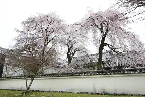醍醐寺(京都府)