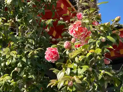 高幡不動尊　金剛寺(東京都)